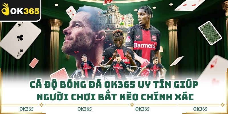 Cá Độ Bóng Đá Ok365 Uy Tín Giúp Người Chơi Bắt Kèo Chính Xác